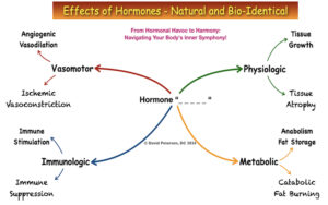 Unlocking the Secrets of Youth: Bio-Identical Hormones Explained!