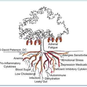Adrenal Support