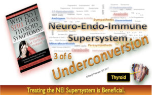 Thyroid Hormone Underconversion