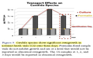 Candida - Discover the Documented Limitations of Culture-Based Stool Assessment