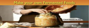 The Unique Health Benefits of Fermented Foods: Beyond Probiotics