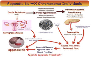 Functional Medicine for Endometriosis: A Comprehensive Guide
