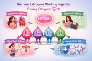 Why "Weak" Estrogens Can Be Stronger Than Estradiol – The Potency Myth Exposed