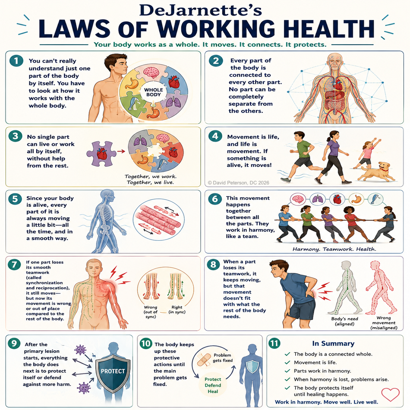Foundational Chiropractic Wisdom: DeJarnette’s Laws of Working Health for Modern Practice - Image 2