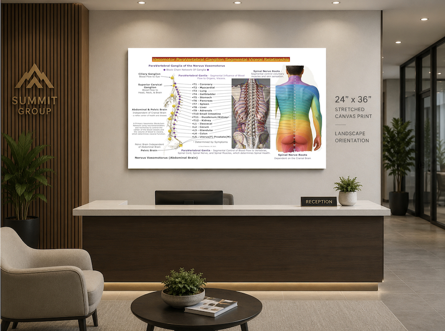 Revolutionize Your Adjustments: Understand Paravertebral Ganglia Segmental Influence on Viscera & Dermatomes - Image 2